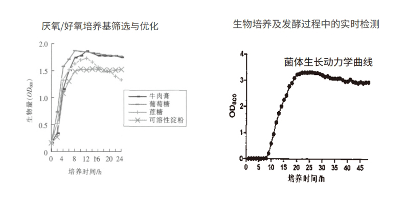 過程安全，結(jié)果精準