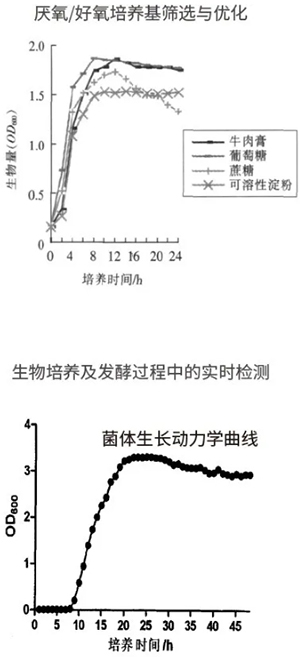 過程安全，結(jié)果精準(zhǔn)